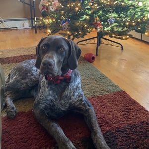 Meet your Posher, Raymond